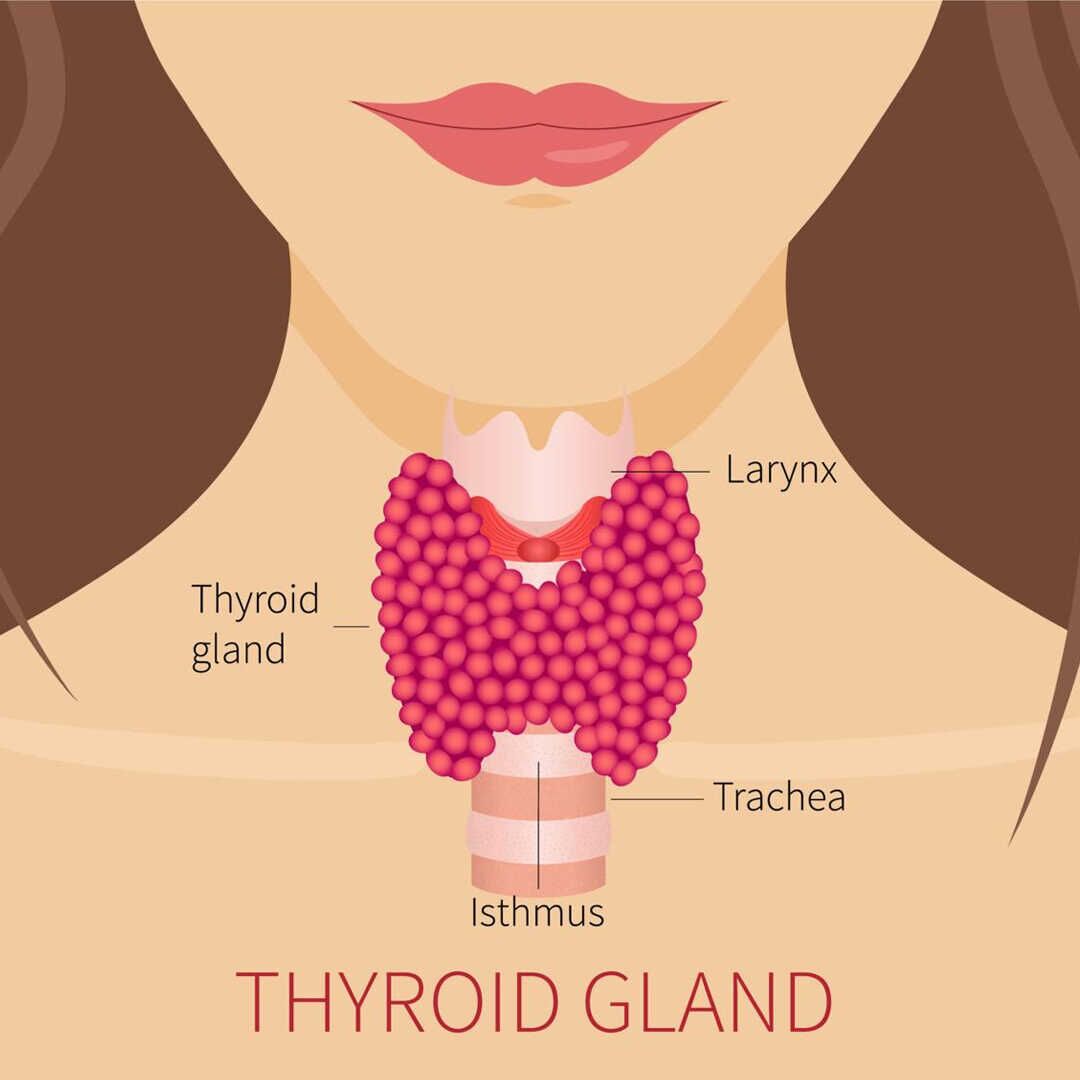 is my thyroid causing hair loss?